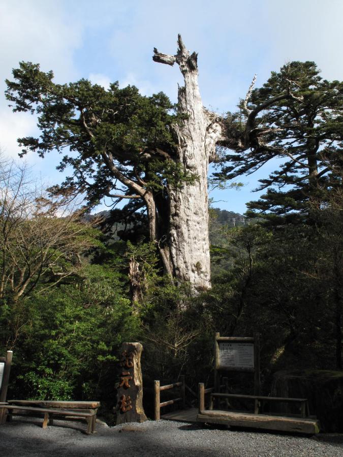 Hotel Yakushima Sanso المظهر الخارجي الصورة